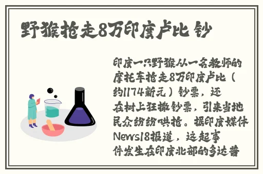 GOGOGO中国